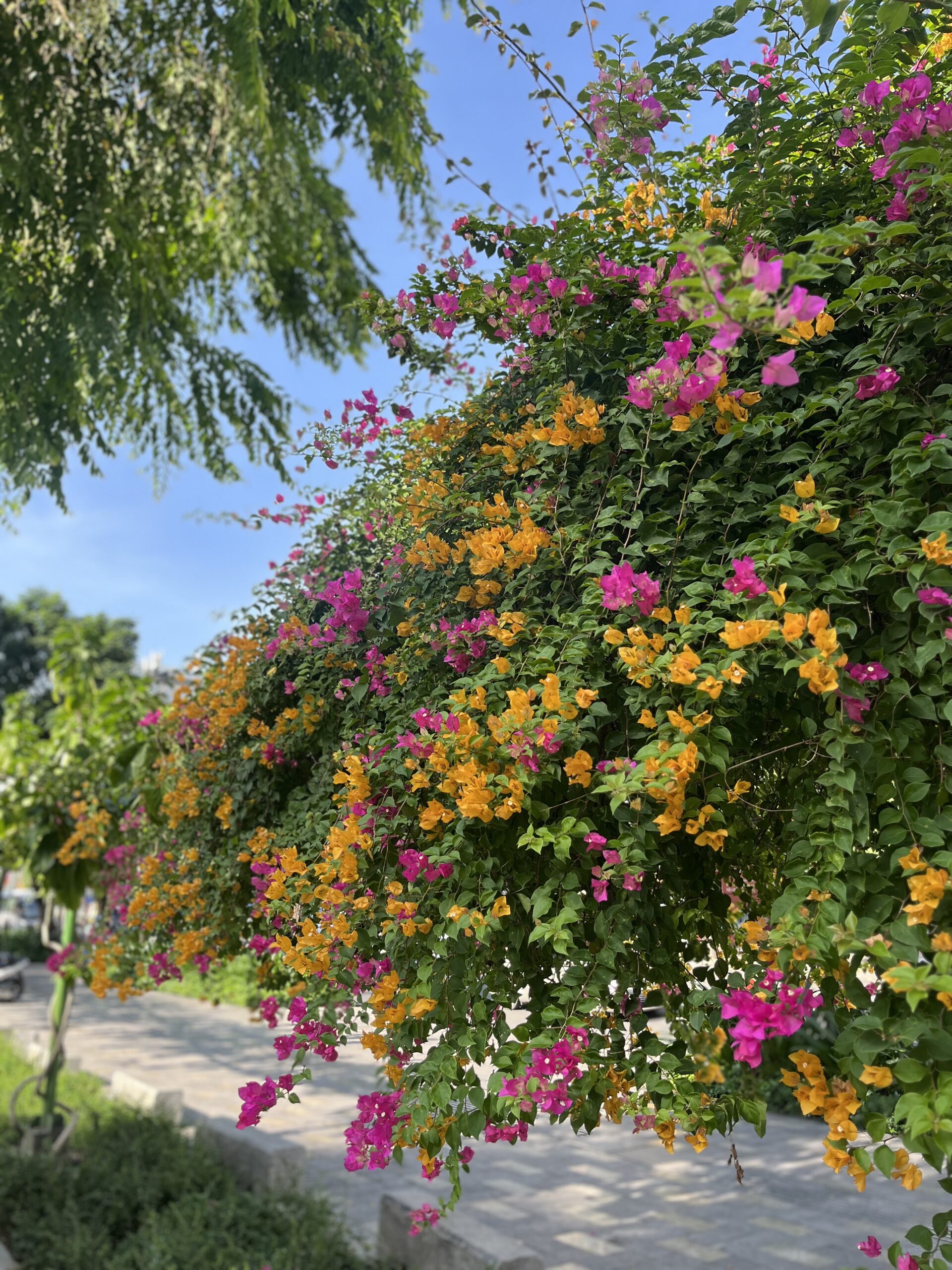 「最初の矢を放つ時」 12月20日射手座新月