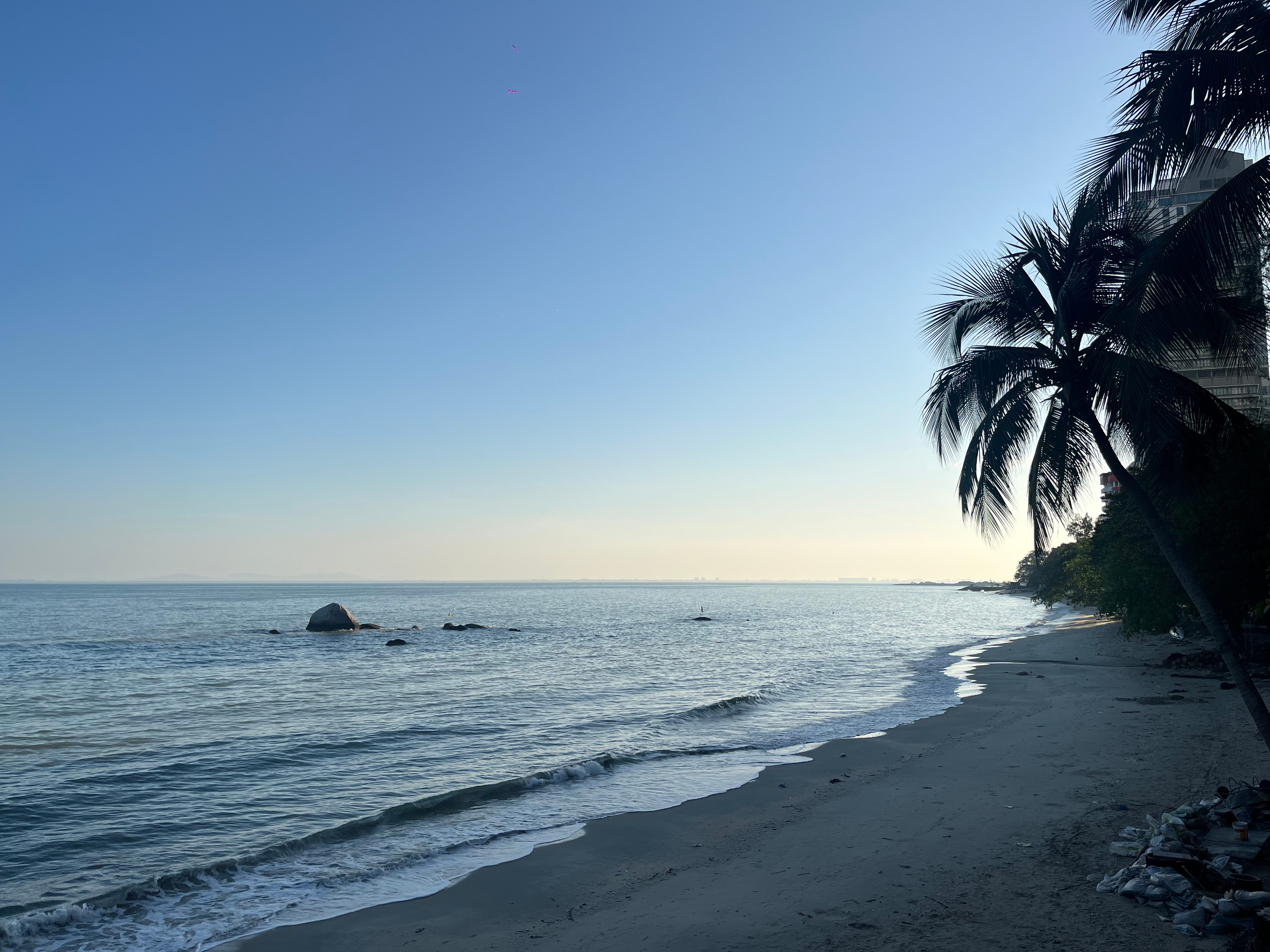 「インテンションという種」2026年1月19日 山羊座新月
