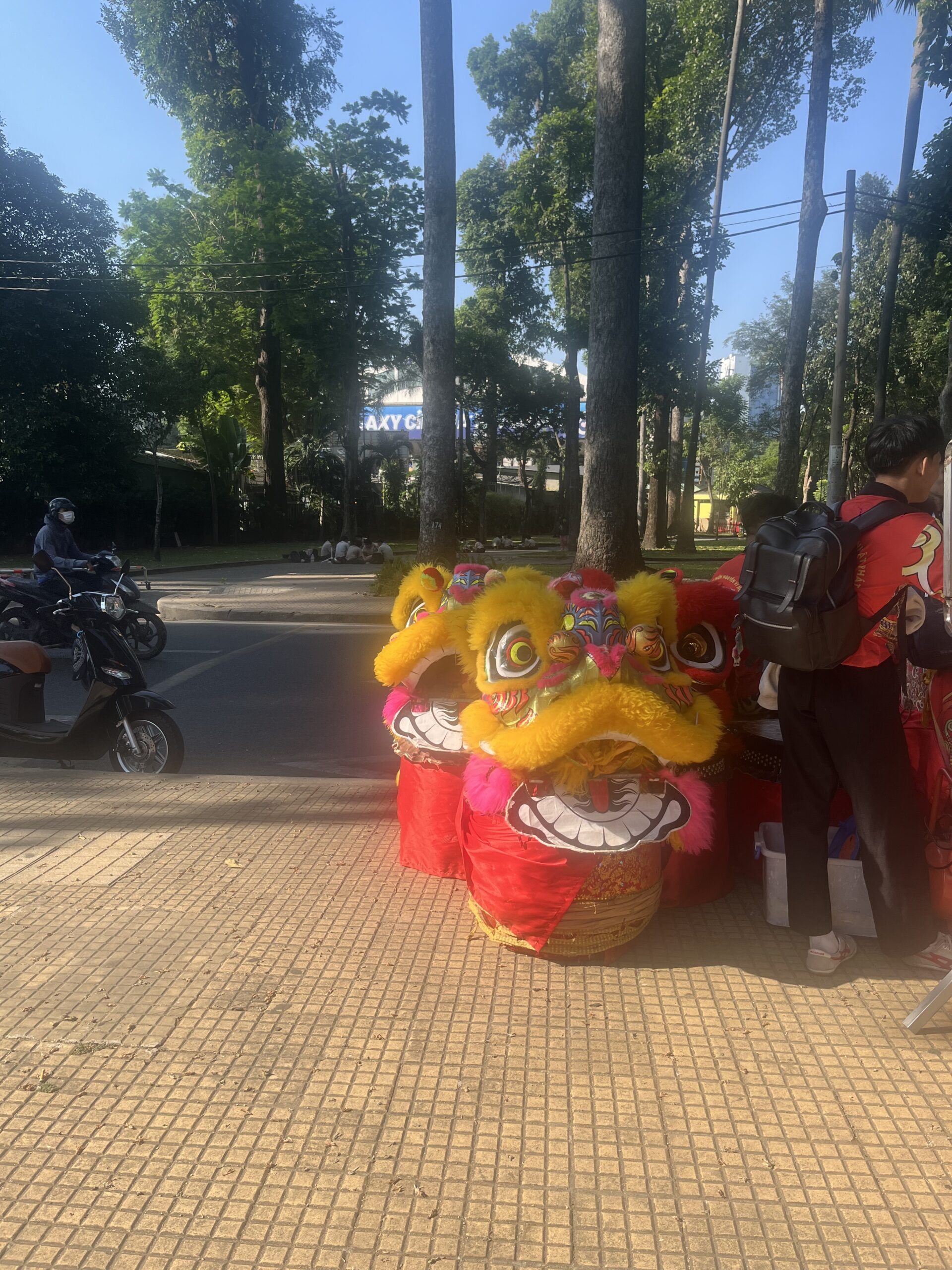 「インテンションを現実に馴染ませていく」2026年2月2日獅子座満月