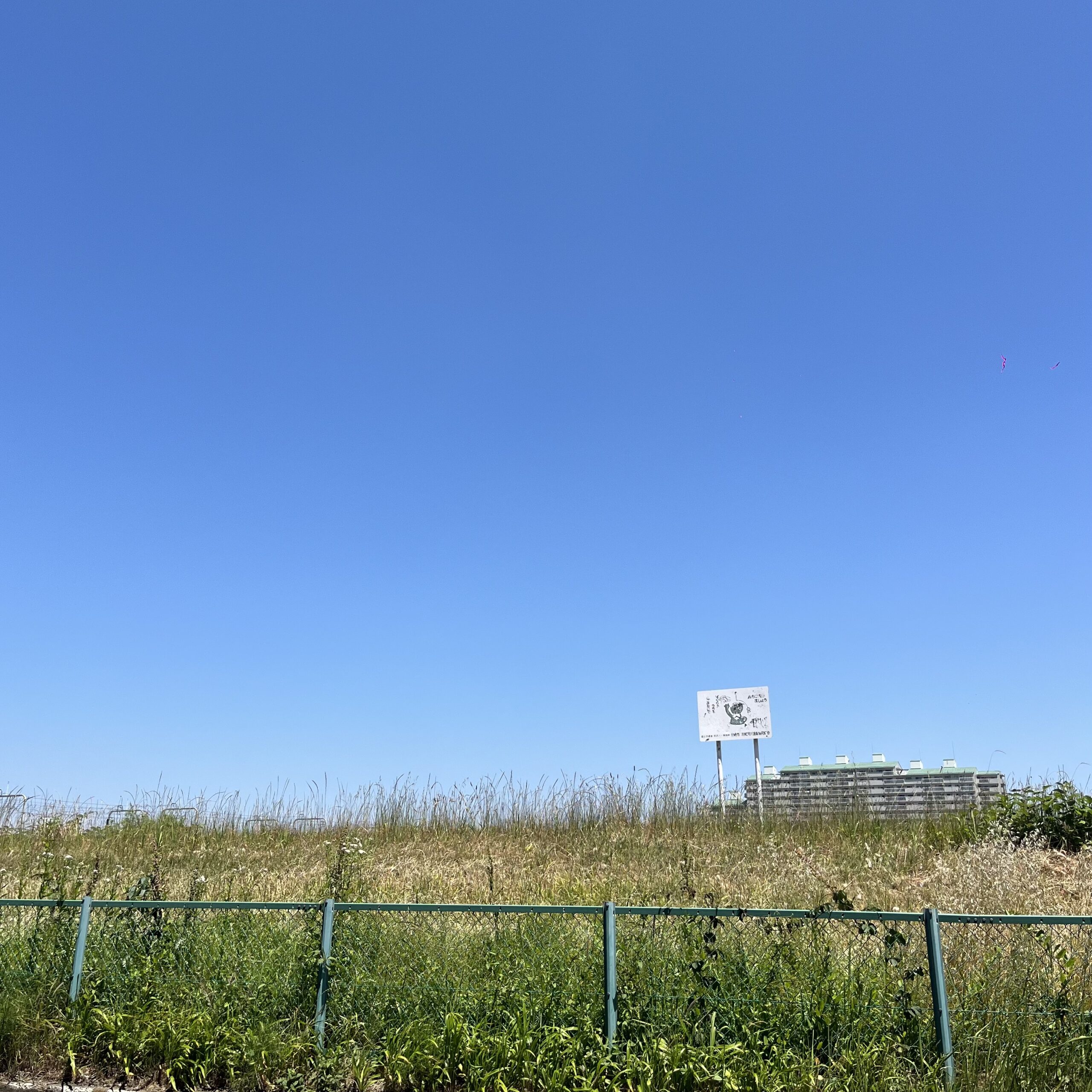 見えない豊かさを味わう　2026年5月17日　牡牛座新月